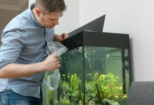 moving a fish tank
